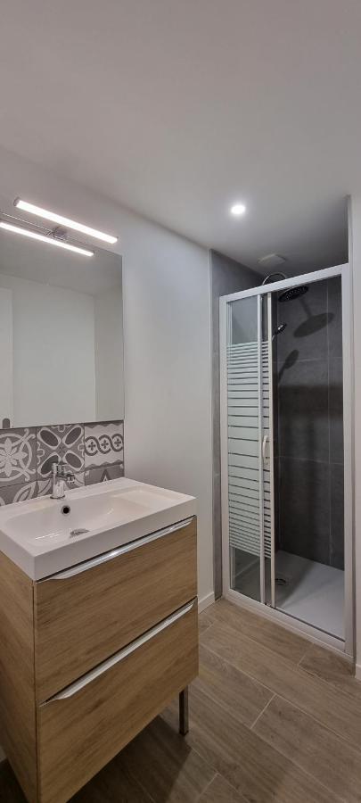 Chambres Avec Douche Privative Dans Appartement Partage - Metro - Wifi Τουλούζη Εξωτερικό φωτογραφία